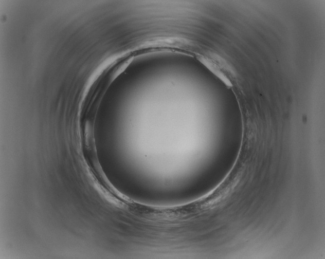 X0000068730792200604281137