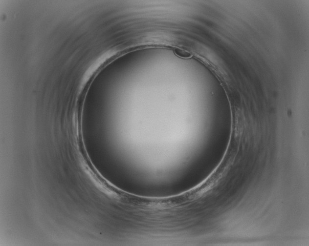 X0000068730796200604281137