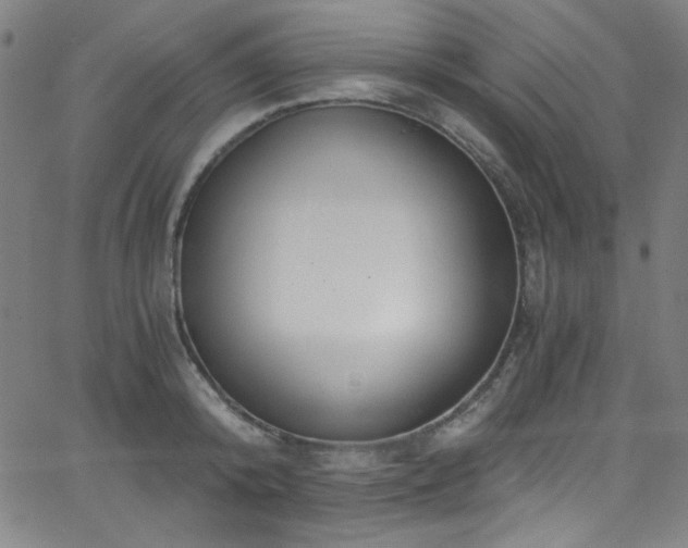X0000068730800200604281137