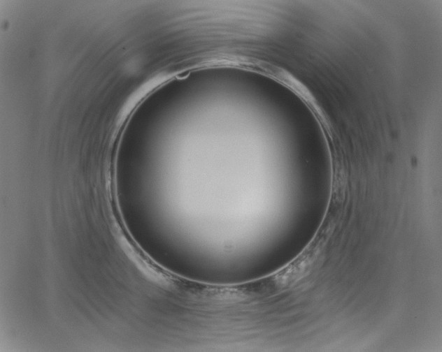 X0000068730811200604281137