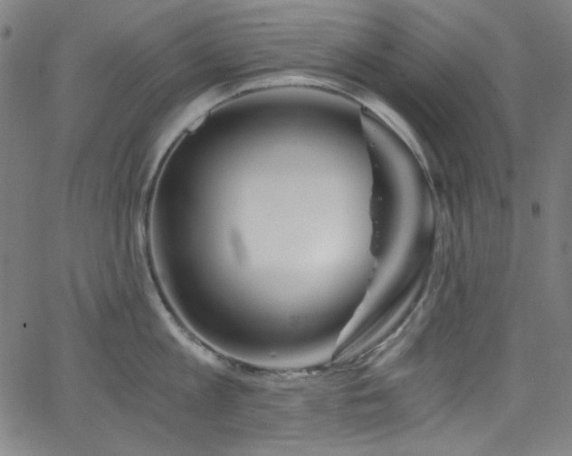X0000068730813200604281137