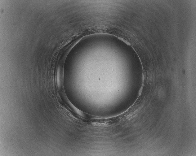 X0000068730818200604281136