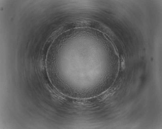 X0000068730819200604281136