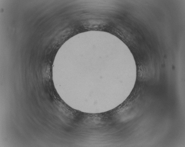 X0000068730820200604281136
