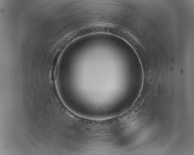 X0000068730821200604281136
