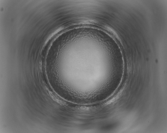 X0000068730827200604281136