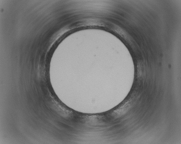 X0000068730828200604281136