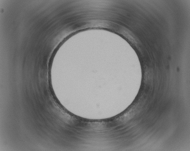 X0000068730836200604281136