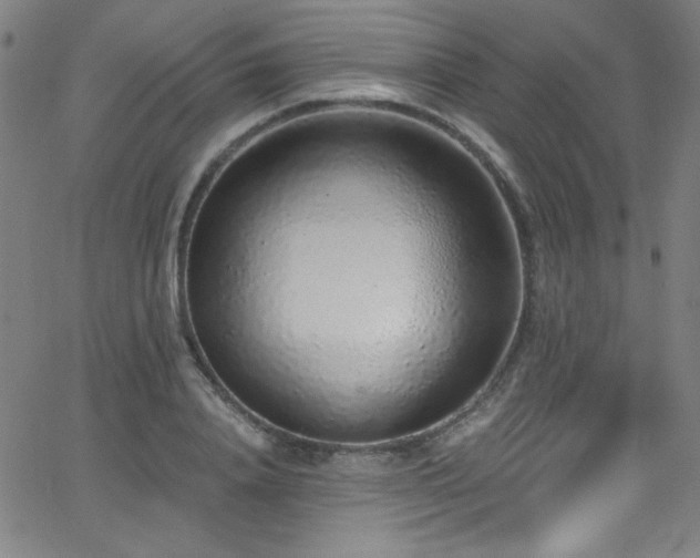 X0000068730840200604281137