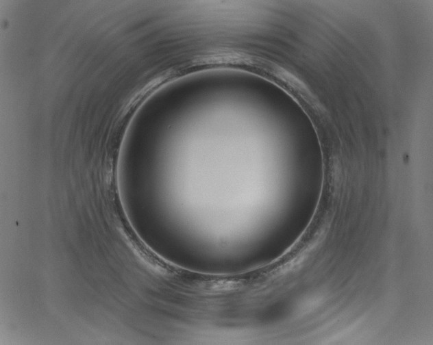 X0000068730841200604281137