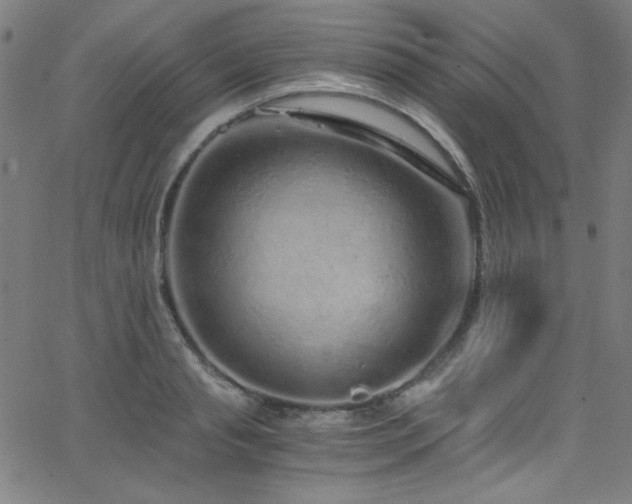 X0000068730845200604281137
