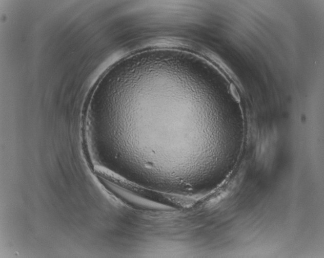 X0000068730853200604281137