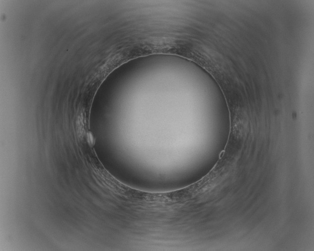 X0000068730866200604281136