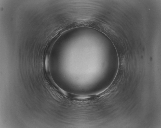 X0000068730868200604281136