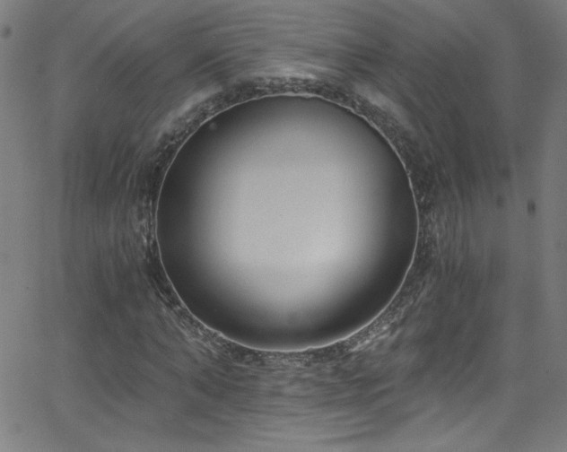 X0000068730870200604281136