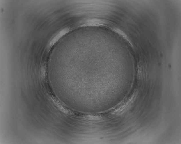 X0000068730874200604281136