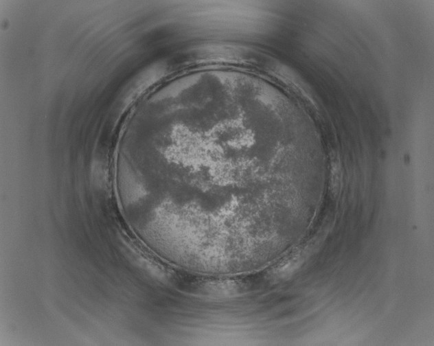 X0000068730882200604281136