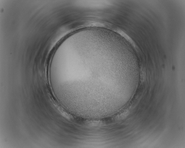 X0000068730886200604281136