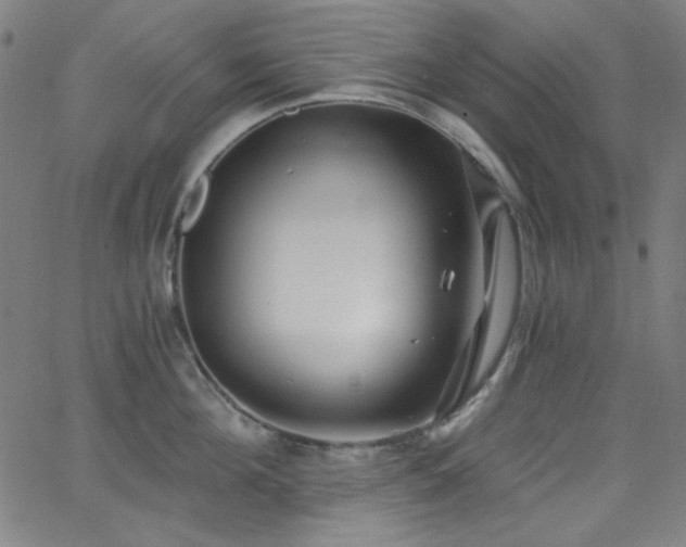 X0000068730908200604281135