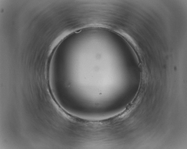X0000068730910200604281135