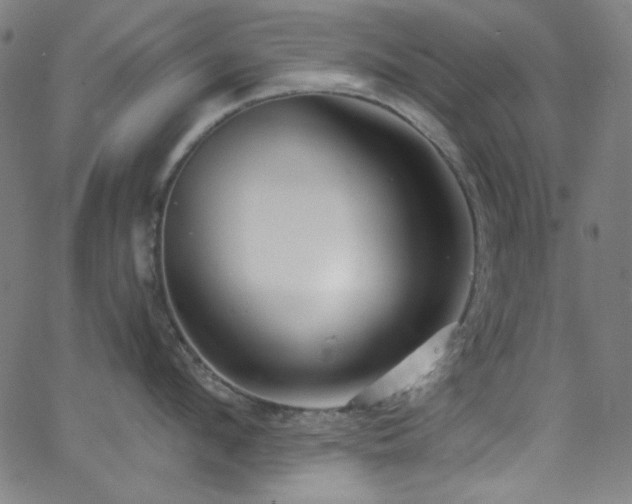 X0000068730912200604281135