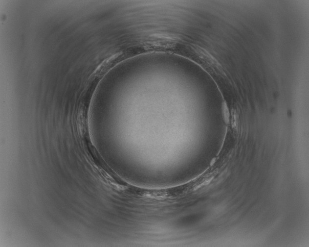 X0000068730915200604281135