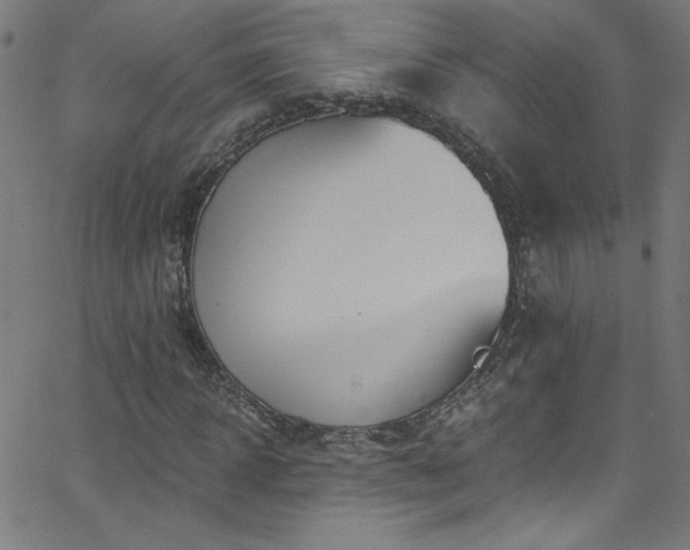 X0000068730918200604281135