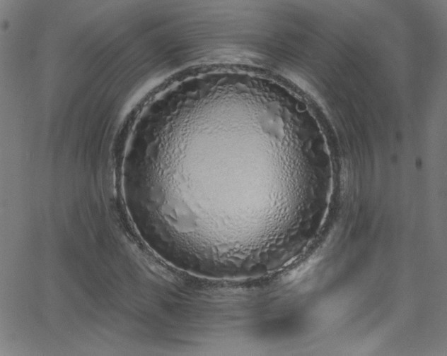 X0000068730925200604281135