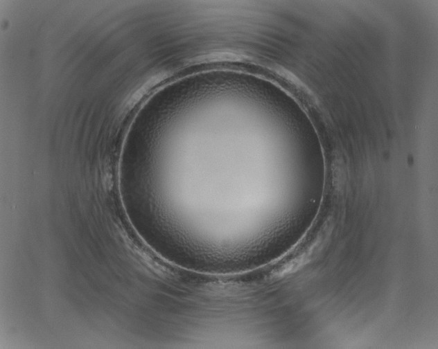 X0000068730929200604281135