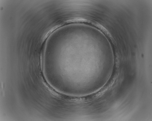 X0000068730937200604281135