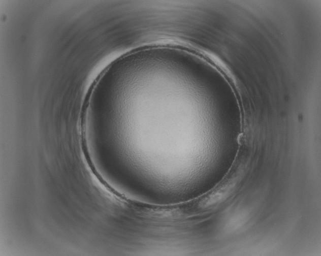 X0000068730951200604281135