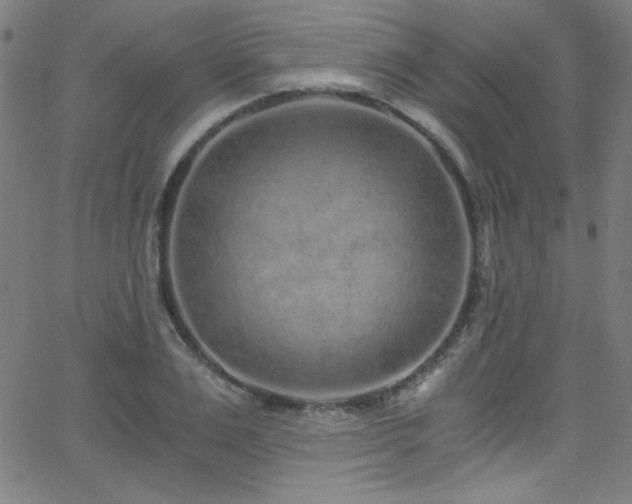 X0000068730983200604281134