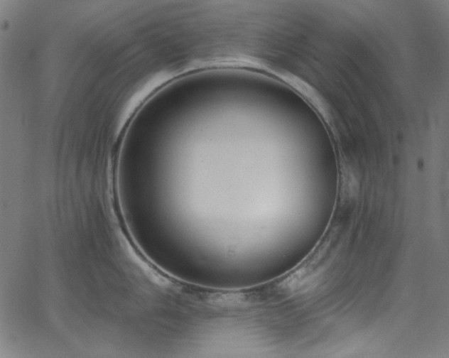 X0000068731006200604281134