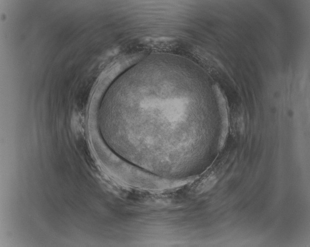 X0000068731010200604281133