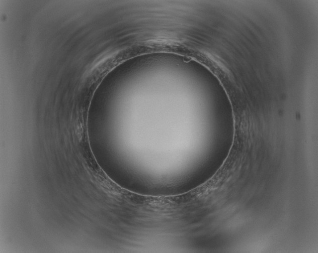X0000068731015200604281133