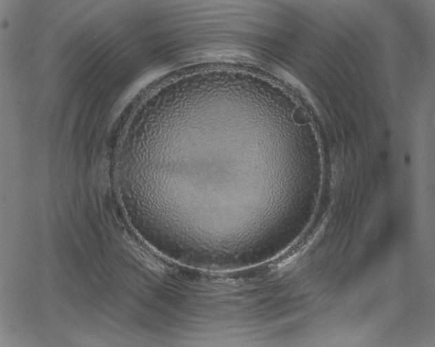 X0000068731019200604281133