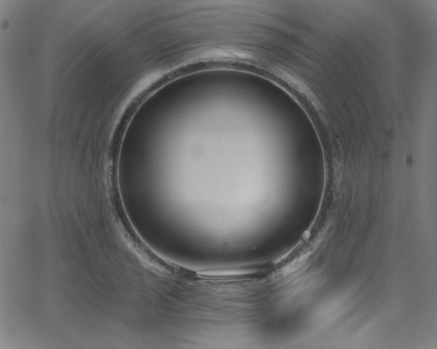 X0000068731029200604281133