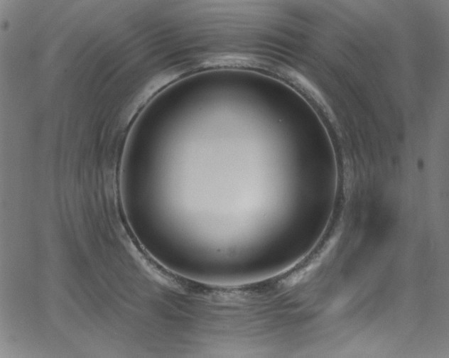X0000068731041200604281134