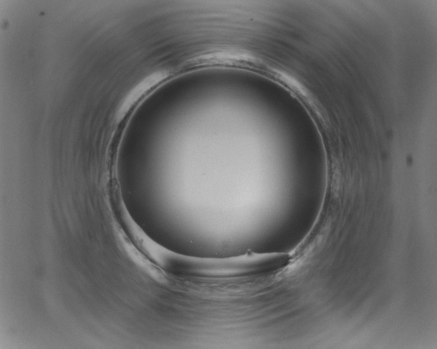 X0000068731042200604281134