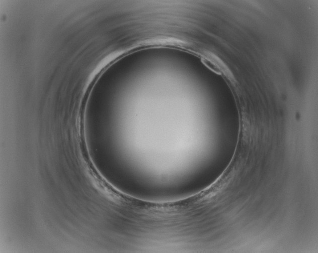 X0000068731044200604281134
