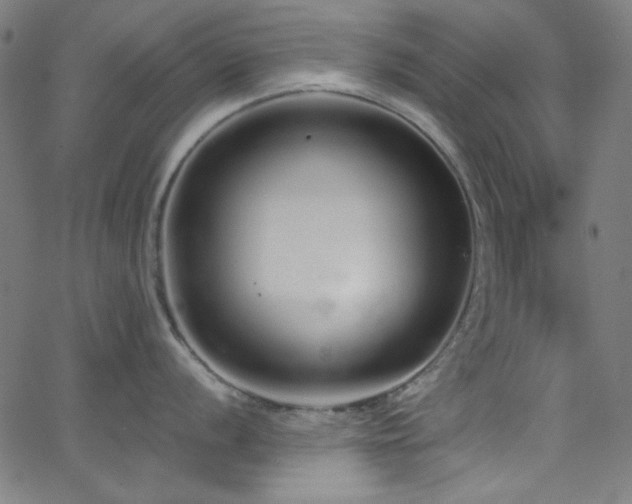 X0000068731056200604281134
