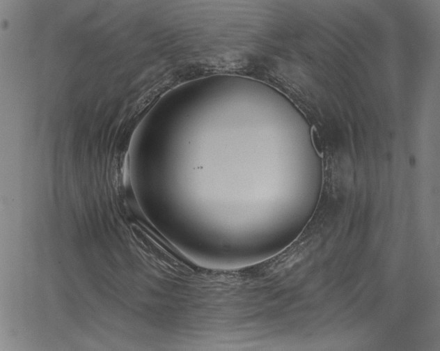 X0000068731058200604281133