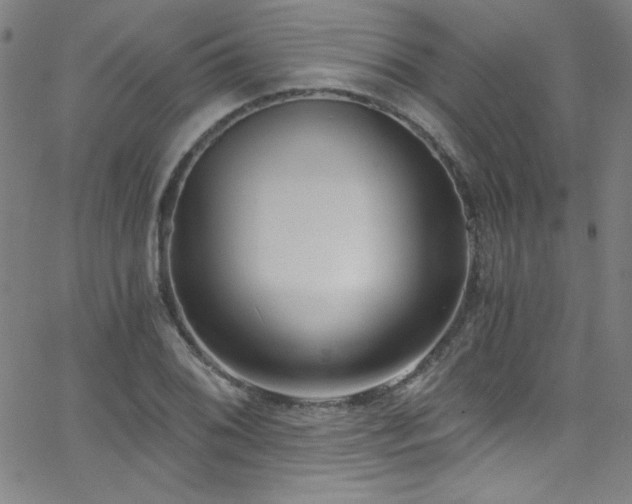 X0000068731076200604281133