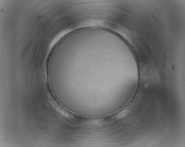 X0000068731078200604281133