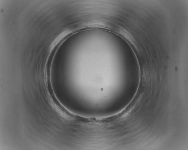 X0000068731082200604281133
