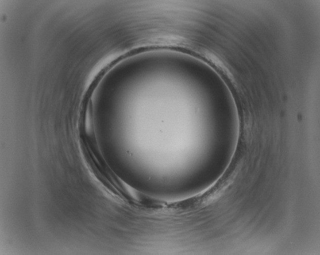 X0000068731085200604281132