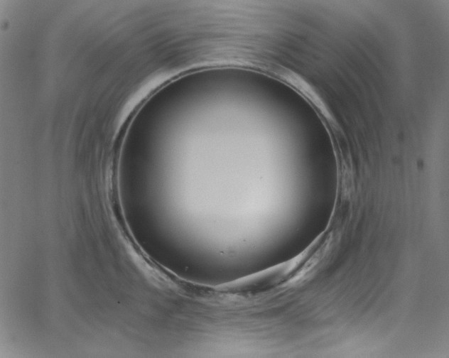 X0000068731101200604281132