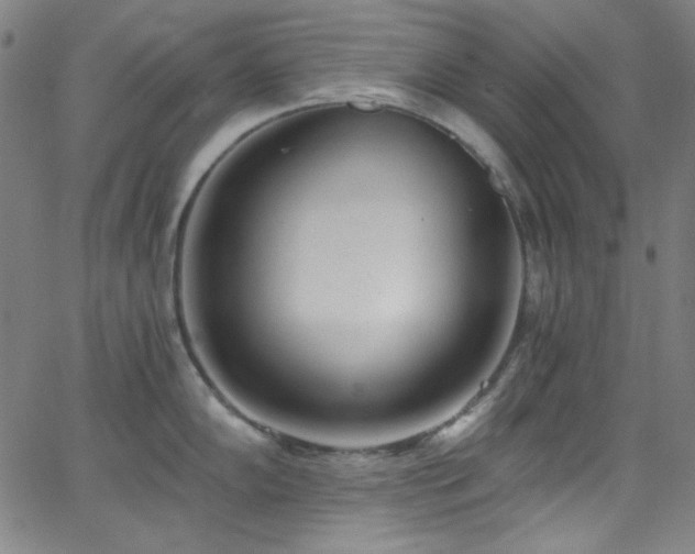 X0000068731102200604281132