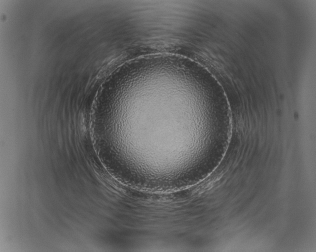 X0000068731106200604281131