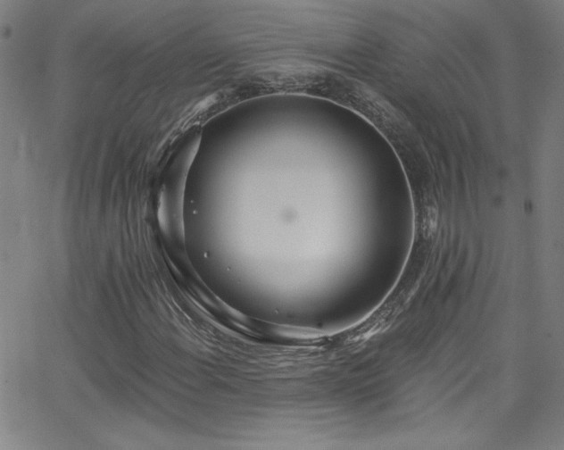 X0000068731108200604281131